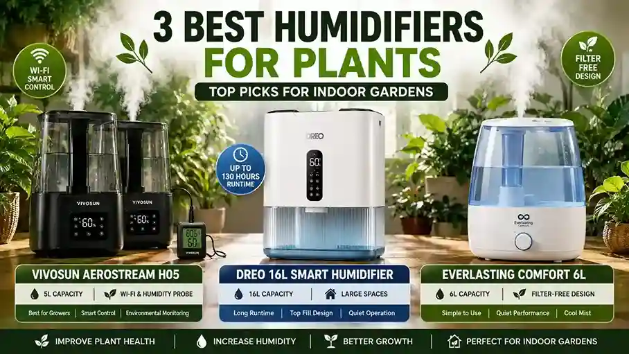 Best Humidifiers for Plants